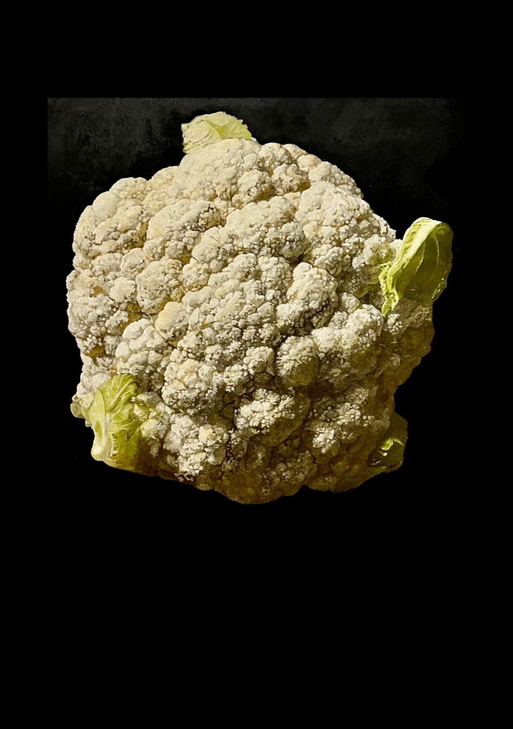 Coming - 1.1_ZENONEcontemporanea