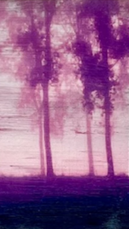 Newsletter - 1.1_ZENONEcontemporanea